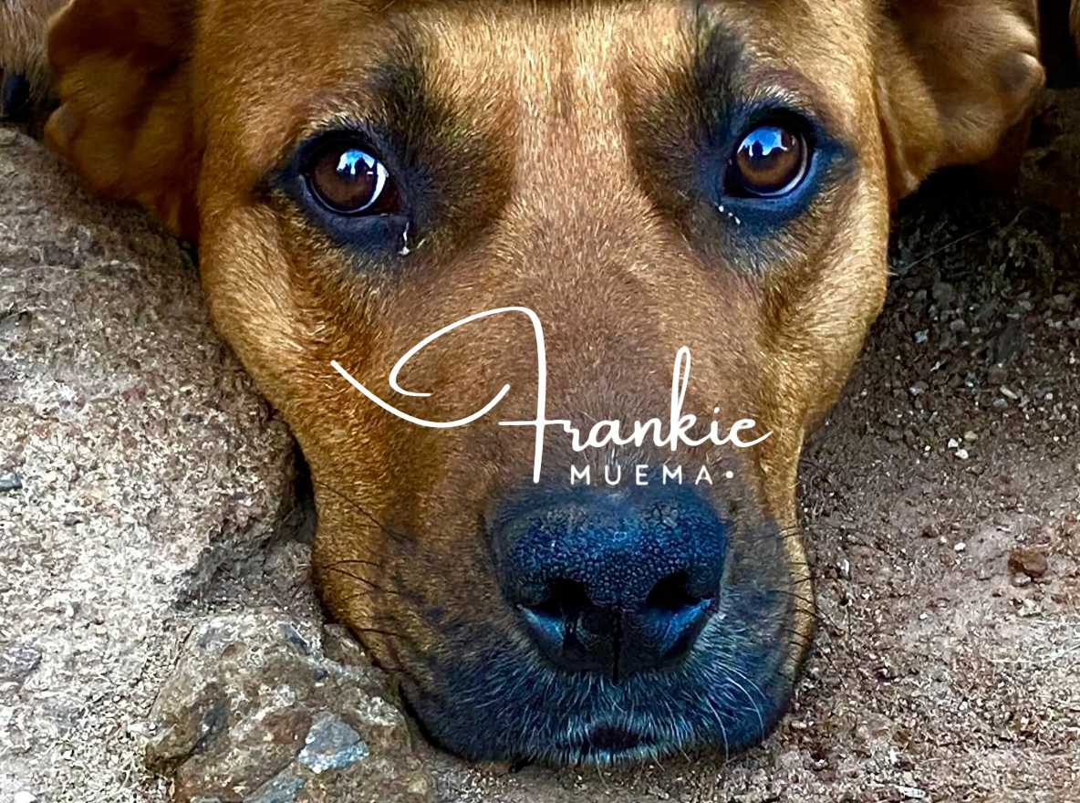 Peace found in stillness.