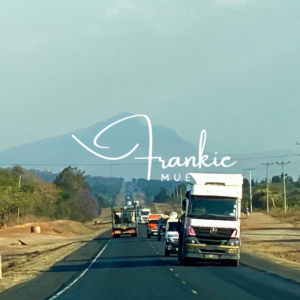 The Busy Highway
